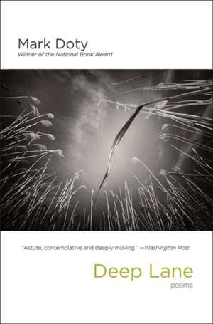 Deep Lane de Mark Doty