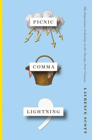 Picnic Comma Lightning – The Experience of Reality in the Twenty–First Century de Laurence Scott