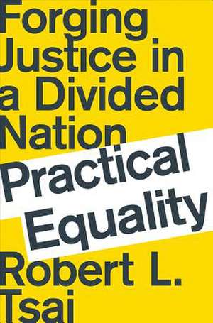 Practical Equality – Forging Justice in a Divided Nation de Robert L. Tsai