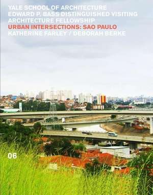 Urban Intersections: Sao Paolo de Nina Rappaport