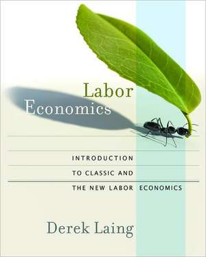 Labor Economics – Introduction to Classic and the New Labor Economics de Derek Laing