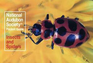 National Audubon Society Pocket Guide to Familiar Insects and Spiders de Audubon Society