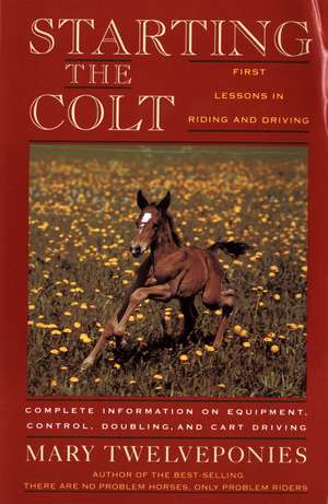 Starting The Colt de Mary Twelveponies