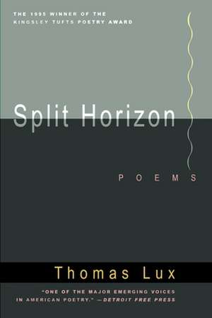 Split Horizon de Thomas Lux