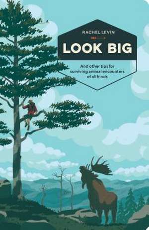 Look Big de Rachel Levin