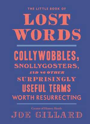 The Little Book of Lost Words de Joe Gillard