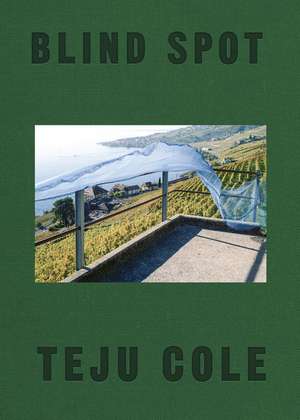 Blind Spot de Teju Cole