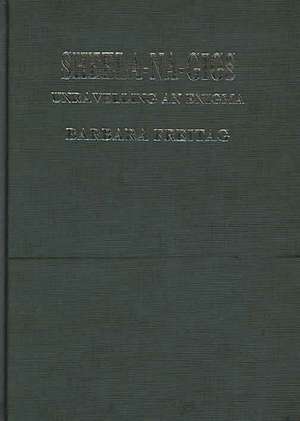 Sheela-na-gigs: Unravelling an Enigma de Barbara Freitag