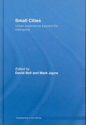 Small Cities: Urban Experience Beyond the Metropolis de David Bell