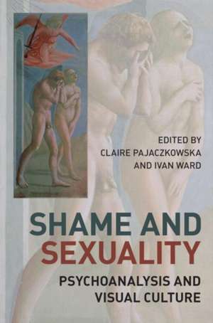 Shame and Sexuality: Psychoanalysis and Visual Culture de Claire Pajaczkowska