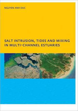 Salt Intrusion, Tides and Mixing in Multi-Channel Estuaries: PhD: UNESCO-IHE Institute, Delft de Anh Duc Nguyen