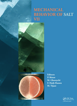 Mechanical Behaviour of Salt VII de Pierre Bérest