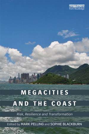 Megacities and the Coast: Risk, Resilience and Transformation de Mark Pelling