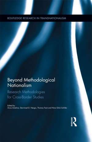 Beyond Methodological Nationalism: Research Methodologies for Cross-Border Studies de Anna Amelina