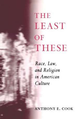 The Least of These: Race, Law, and Religion in American Culture de Anthony E. Cook