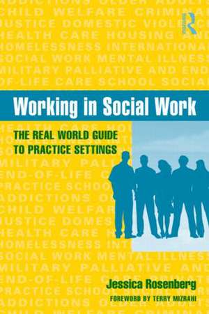 Working in Social Work: The Real World Guide to Practice Settings de Jessica Rosenberg