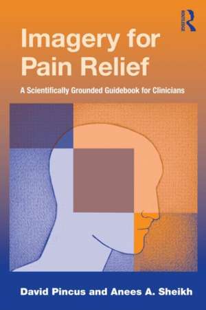 Imagery for Pain Relief: A Scientifically Grounded Guidebook for Clinicians de David Pincus