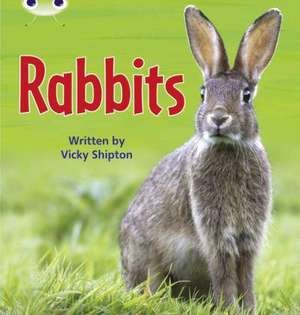 Bug Club Phonics - Phase 5 Unit 27: Rabbits de Vicky Shipton