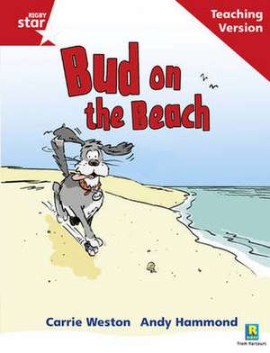 Rigby Star Phonic Guided Reading Red Level: Bud on the Beach