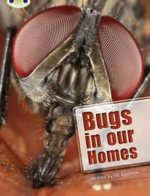 Bug Club Independent Non Fiction Year Two Lime A Bugs in our Homes de Jill Eggleton