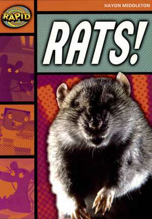 Rapid Reading: Rats! (Stage 4, Level 4B) de Haydn Middleton