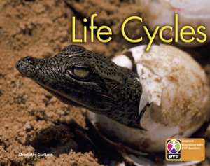 PYP L6 Life Cycles 6PK