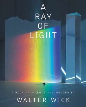 A Ray of Light de Walter Wick