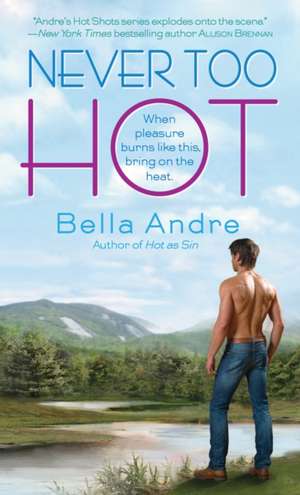 Never Too Hot de Bella Andre