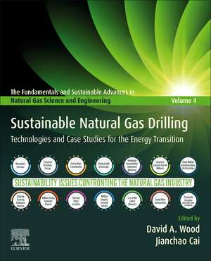 Sustainable Natural Gas Drilling: Technologies and Case Studies for the Energy Transition de David A. Wood