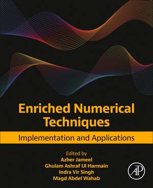 Enriched Numerical Techniques: Implementation and Applications de Azher Jameel