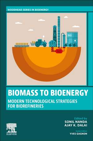 Biomass to Bioenergy: Modern Technological Strategies for Biorefineries de Sonil Nanda