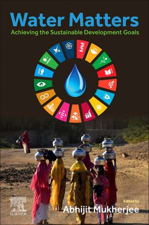 Water Matters: Achieving the Sustainable Development Goals de Abhijit Mukherjee