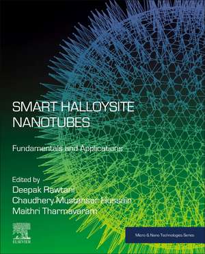 Smart Halloysite Nanotubes: Fundamentals and Applications de Deepak Rawtani