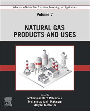 Advances in Natural Gas: Formation, Processing, and Applications. Volume 7: Natural Gas Products and Uses de Mohammad Reza Rahimpour