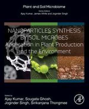 Nanoparticles Synthesis by Soil Microbes: Application in Plant Production and the Environment de Ajay Kumar