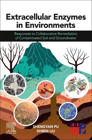 Extracellular Enzymes in Environments: Responses to Collaborative Remediation of Contaminated Soil and Groundwater de Shengyan Pu