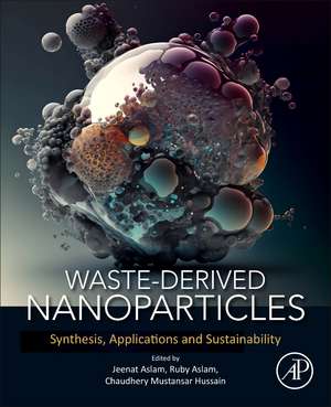 Waste-Derived Nanoparticles: Synthesis, Applications and Sustainability de Jeenat Aslam