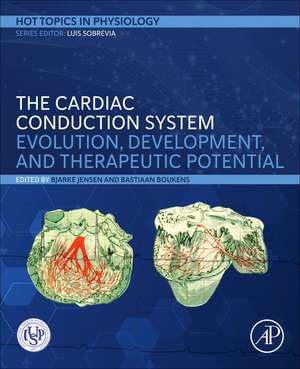 The Cardiac Conduction System de Bjarke Jensen