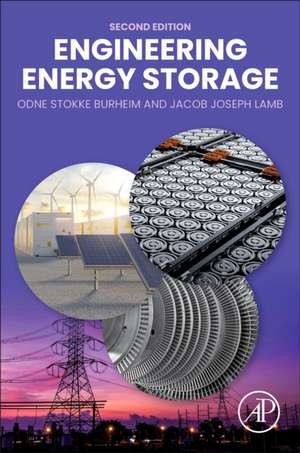 Engineering Energy Storage de Jacob Joseph Lamb