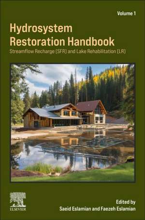 Hydrosystem Restoration Handbook: Streamflow Recharge and Lake Rehabilitation: Streamflow Recharge and Lake Rehabilitation de Saeid Eslamian