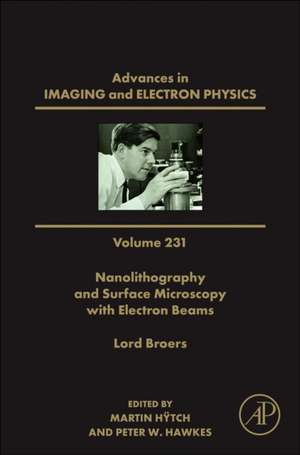 Nanolithography and Surface Microscopy with Electron Beams de Peter W. Hawkes