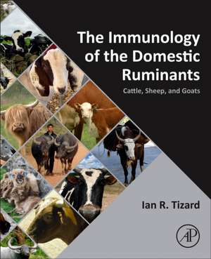 The Immunology of the Domestic Ruminants: Cattle, Sheep, and Goats de Ian R. Tizard