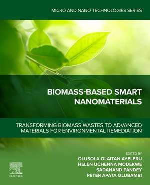 Biomass‐based Smart Nanomaterials de Olusola Olaitan Ayeleru