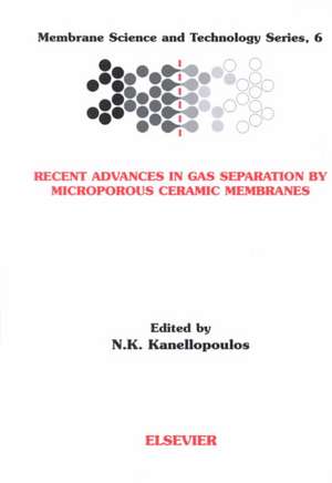 Recent Advances in Gas Separation by Microporous Ceramic Membranes de N.K. Kanellopoulos