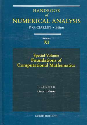 Special Volume: Foundations of Computational Mathematics de Phillipe G. Ciarlet