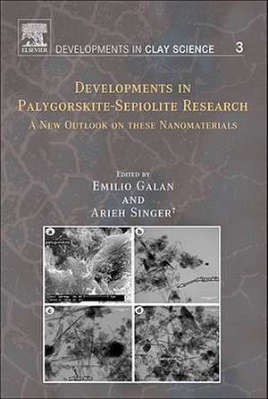 Developments in Palygorskite-Sepiolite Research: A New Outlook on these Nanomaterials de Arieh Singer