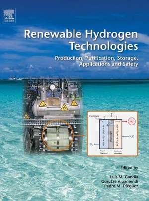 Renewable Hydrogen Technologies: Production, Purification, Storage, Applications and Safety de Luis M Gandia