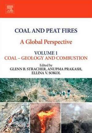 Coal and Peat Fires: A Global Perspective: Volume 1: Coal - Geology and Combustion de Glenn B. Stracher