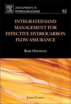 Integrated Sand Management For Effective Hydrocarbon Flow Assurance de Babs Oyeneyin