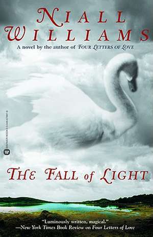 The Fall of Light de Niall Williams